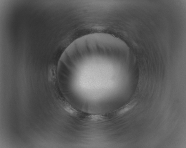 X0000073460528200608181308