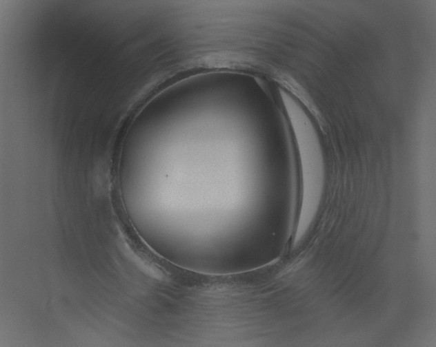 X0000073460530200608181307