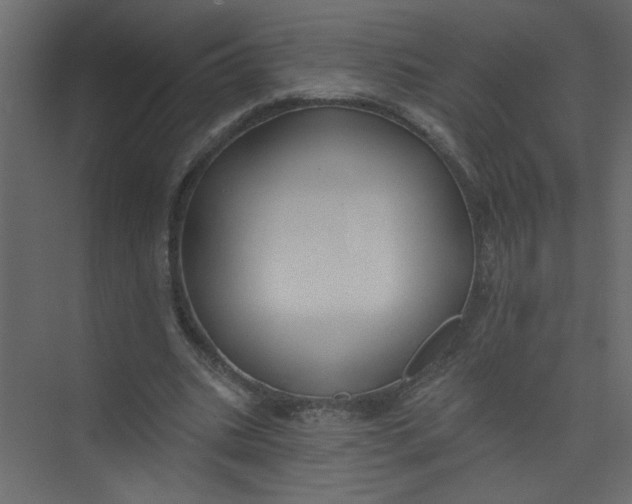 X0000073460535200608181307