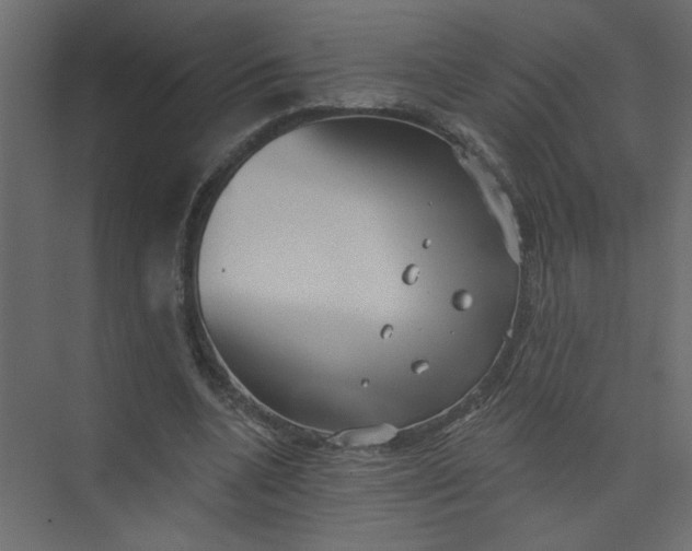 X0000073460536200608181308