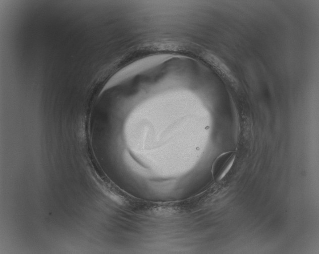 X0000073460537200608181308