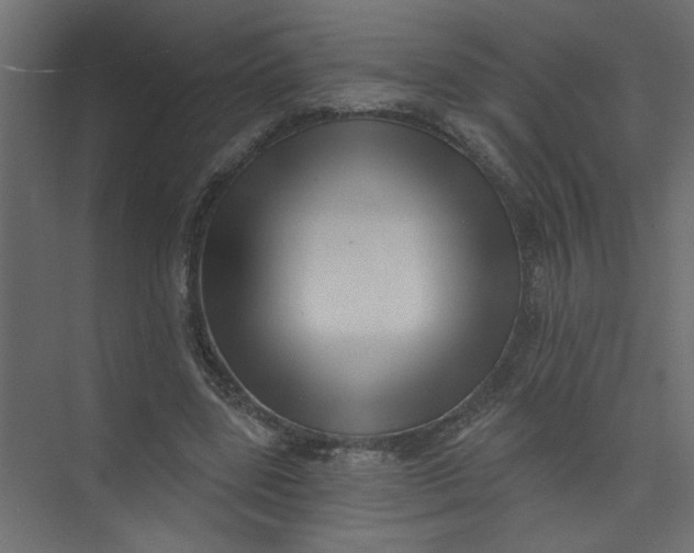 X0000073460539200608181308