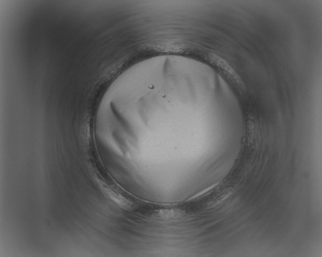 X0000073460541200608181308