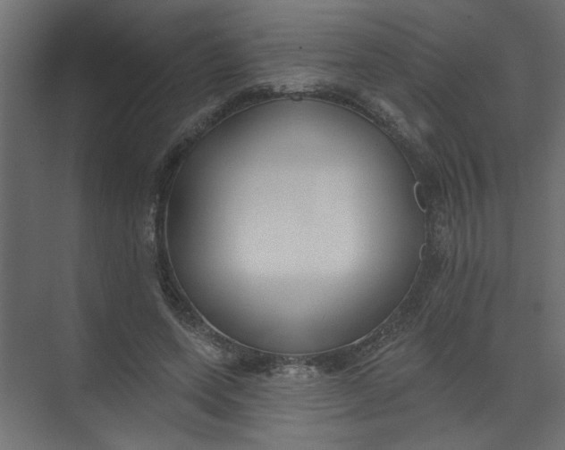 X0000073460543200608181308