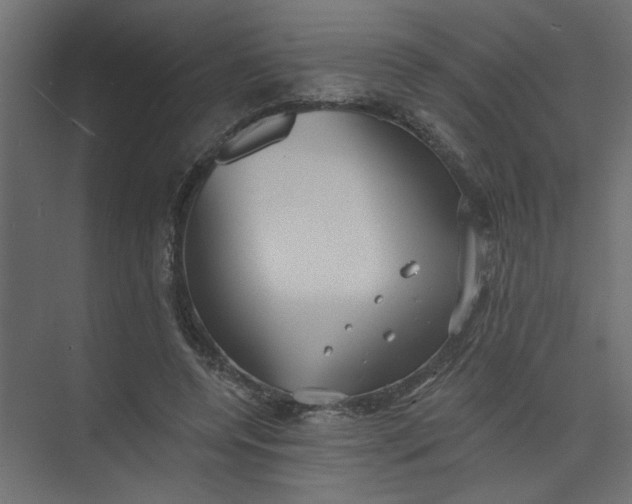 X0000073460544200608181308