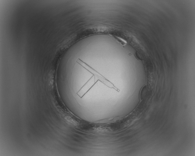 X0000073460545200608181308