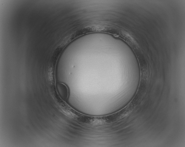 X0000073460549200608181308