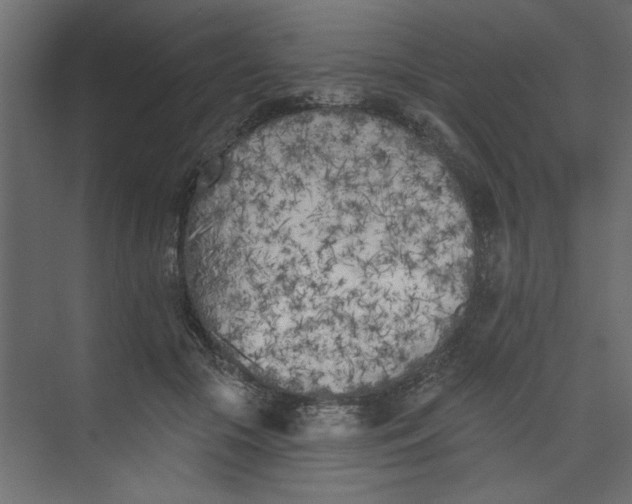 X0000073460553200608181308