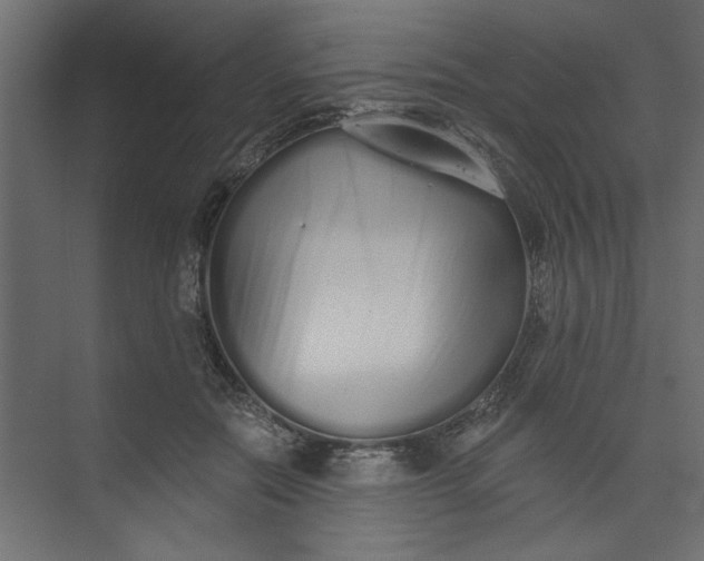 X0000073460554200608181308