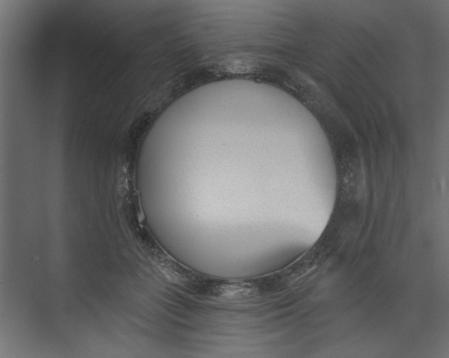 X0000073460555200608181308