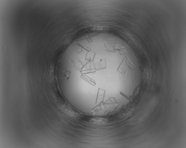 X0000073460557200608181308