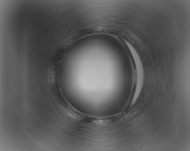 X0000073460558200608181308