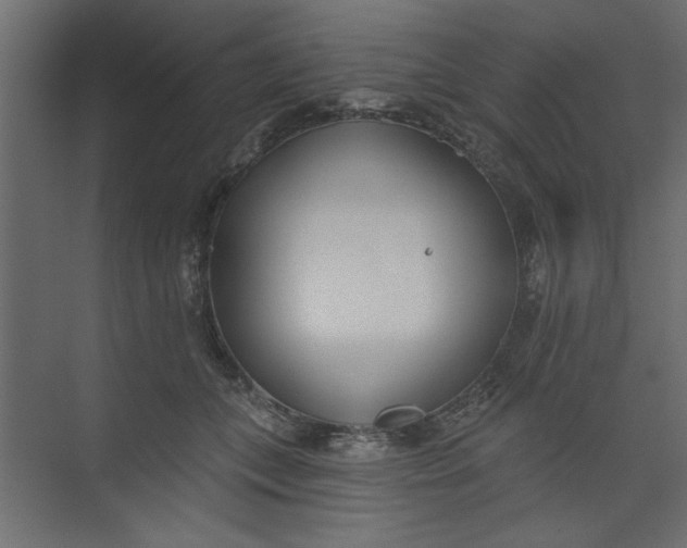 X0000073460559200608181308