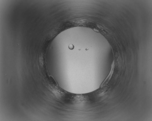 X0000073460562200608181308