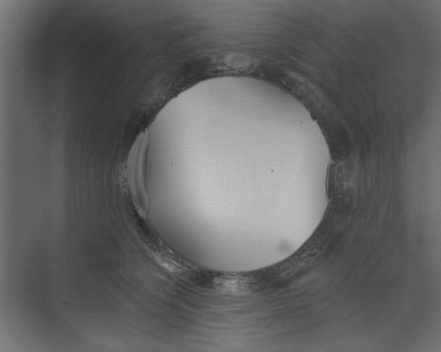 X0000073460564200608181308