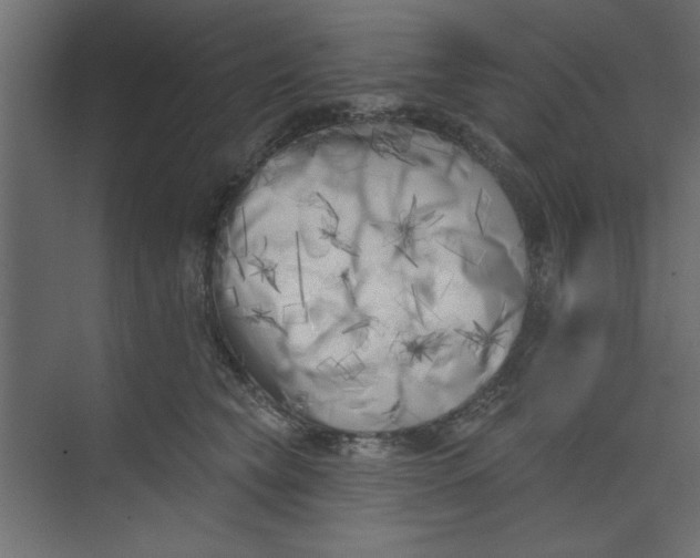 X0000073460565200608181308