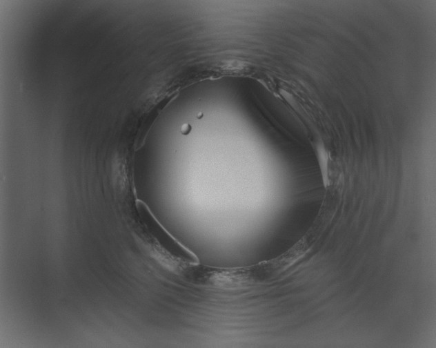 X0000073460568200608181308