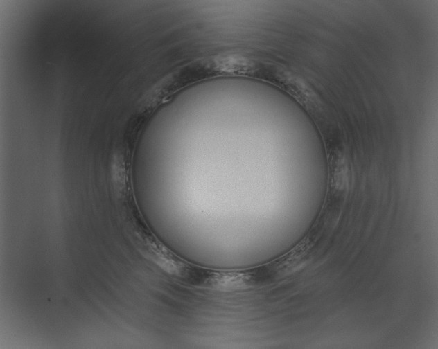 X0000073460569200608181308