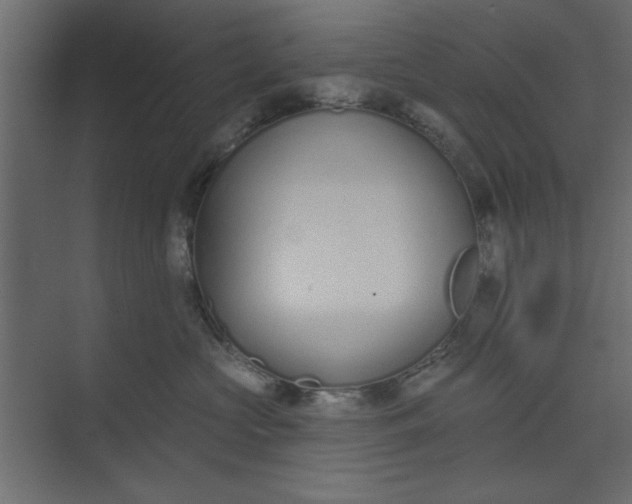 X0000073460573200608181308