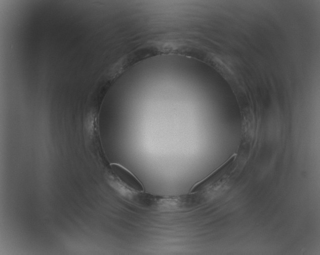 X0000073460574200608181308