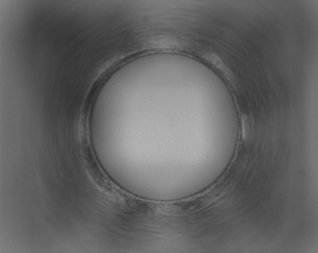 X0000073460579200608181307