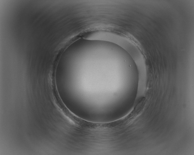 X0000073460581200608181307