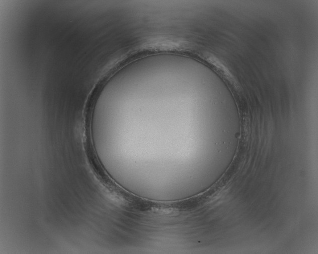 X0000073460582200608181307