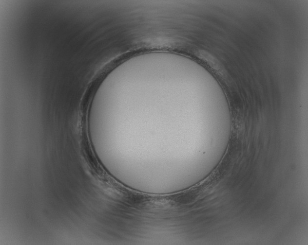 X0000073460583200608181307