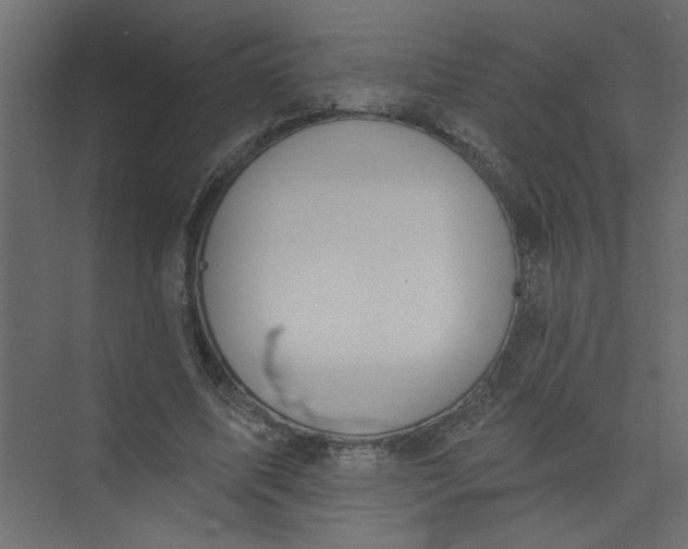 X0000073460587200608181307