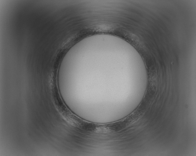 X0000073460591200608181307