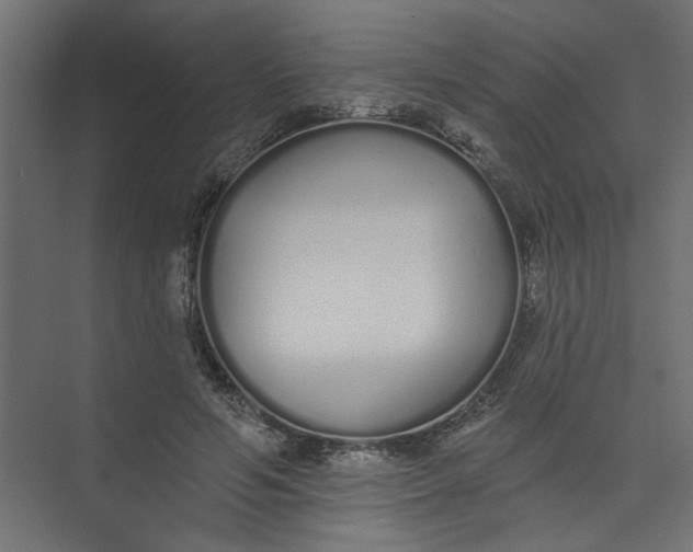 X0000073460594200608181307