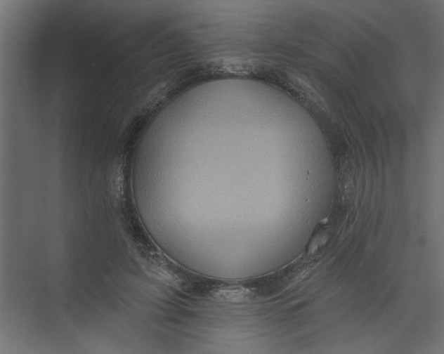 X0000073460595200608181307