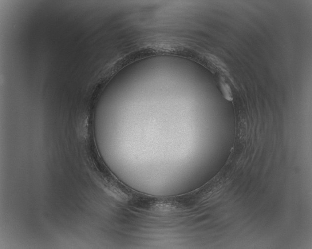 X0000073460596200608181307