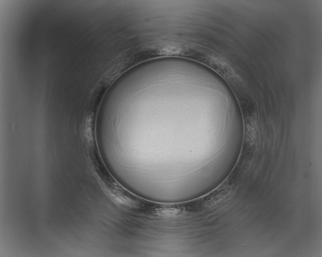 X0000073460598200608181307