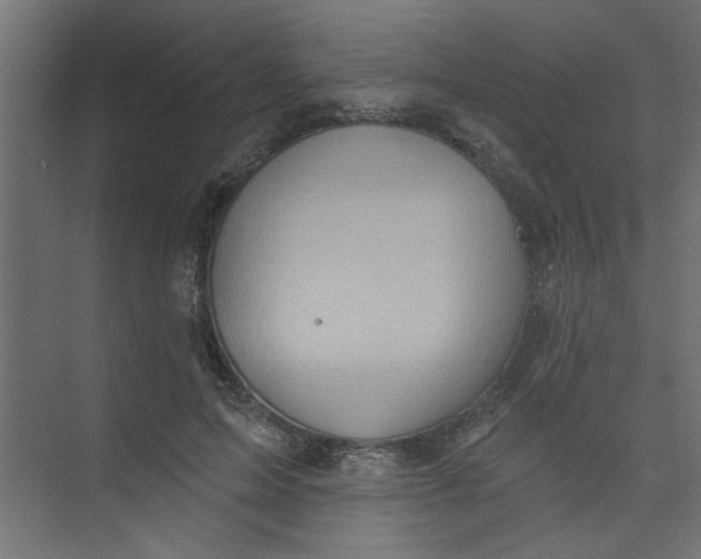 X0000073460599200608181307