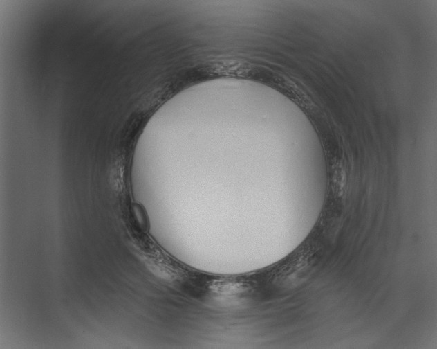 X0000073460602200608181307