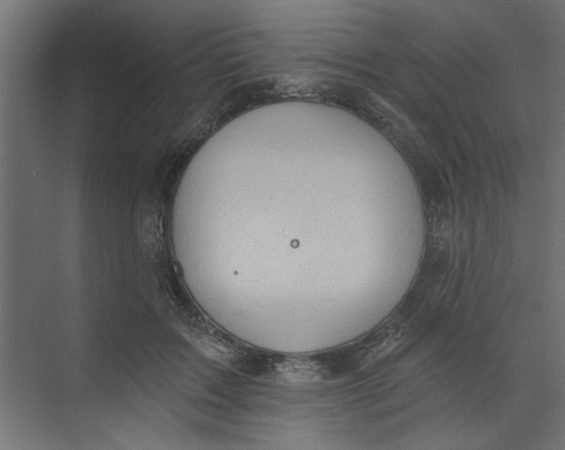 X0000073460603200608181307