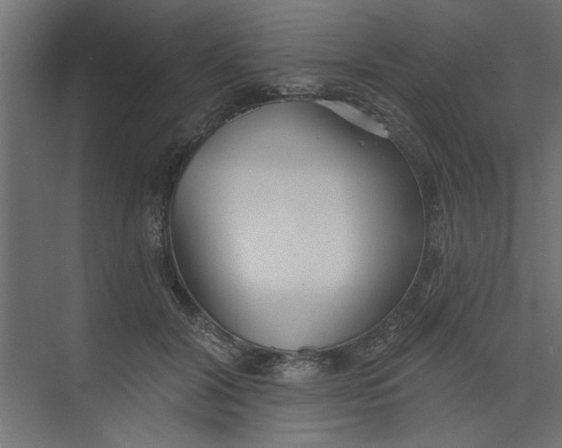 X0000073460604200608181307