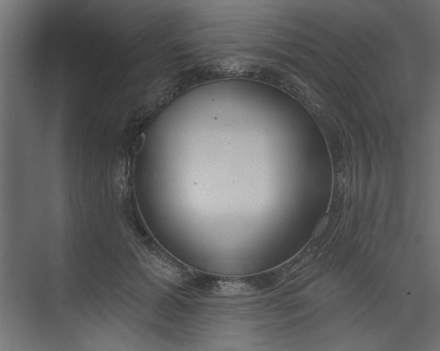 X0000073460605200608181307