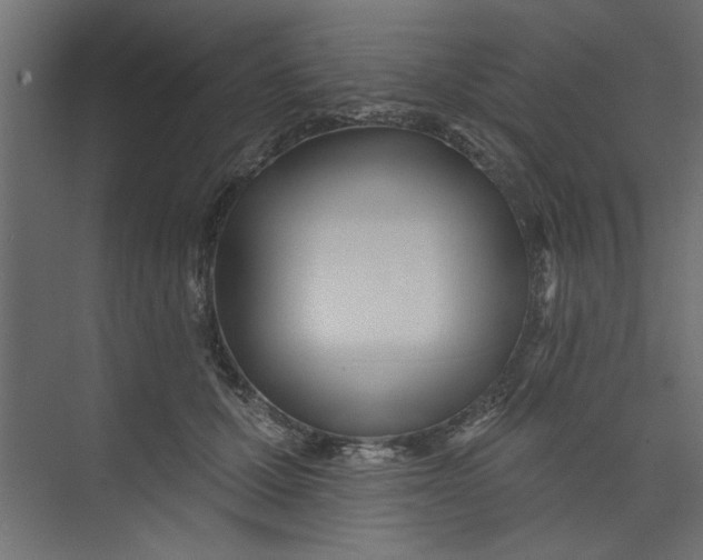 X0000073460607200608181307