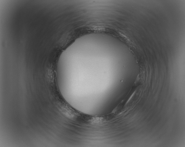 X0000073460609200608181307