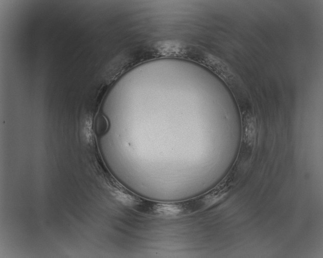 X0000073460610200608181307