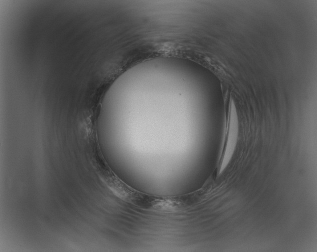 X0000073460611200608181307