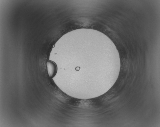 X0000073460612200608181307