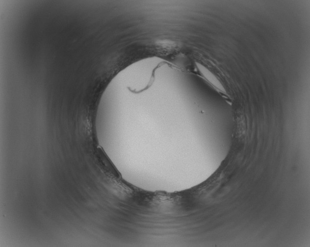 X0000073460613200608181307