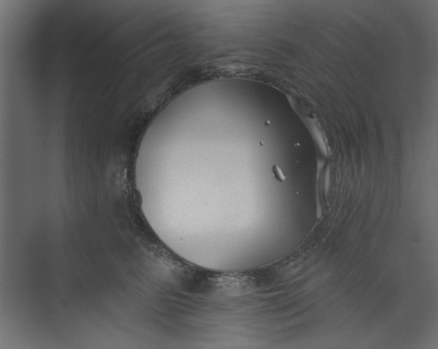 X0000073460615200608181307