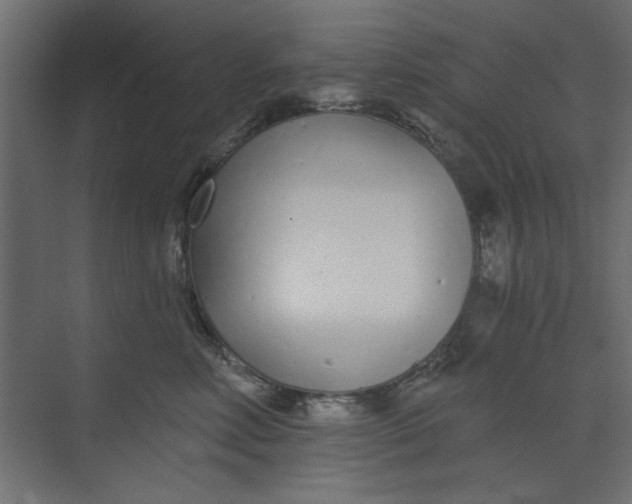 X0000073460618200608181307