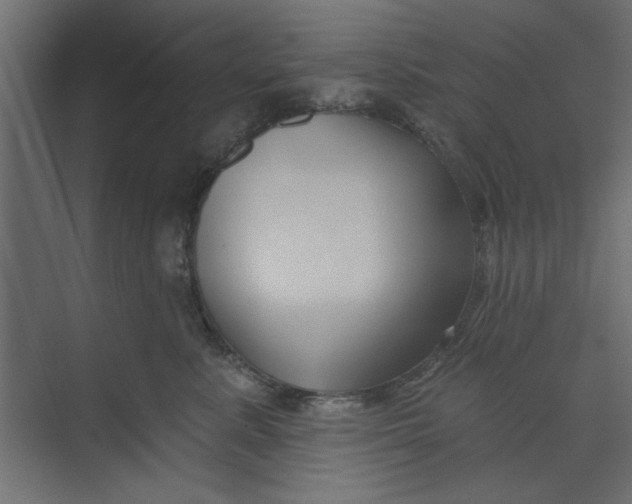 X0000073460619200608181307