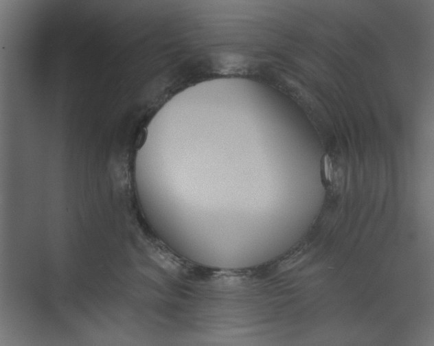 X0000073460620200608181307