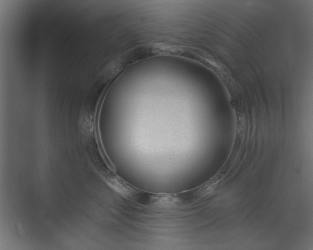 X0000073460621200608181307